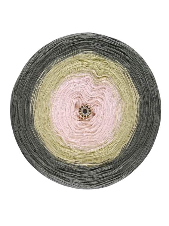 transparent2-Photoroom.png